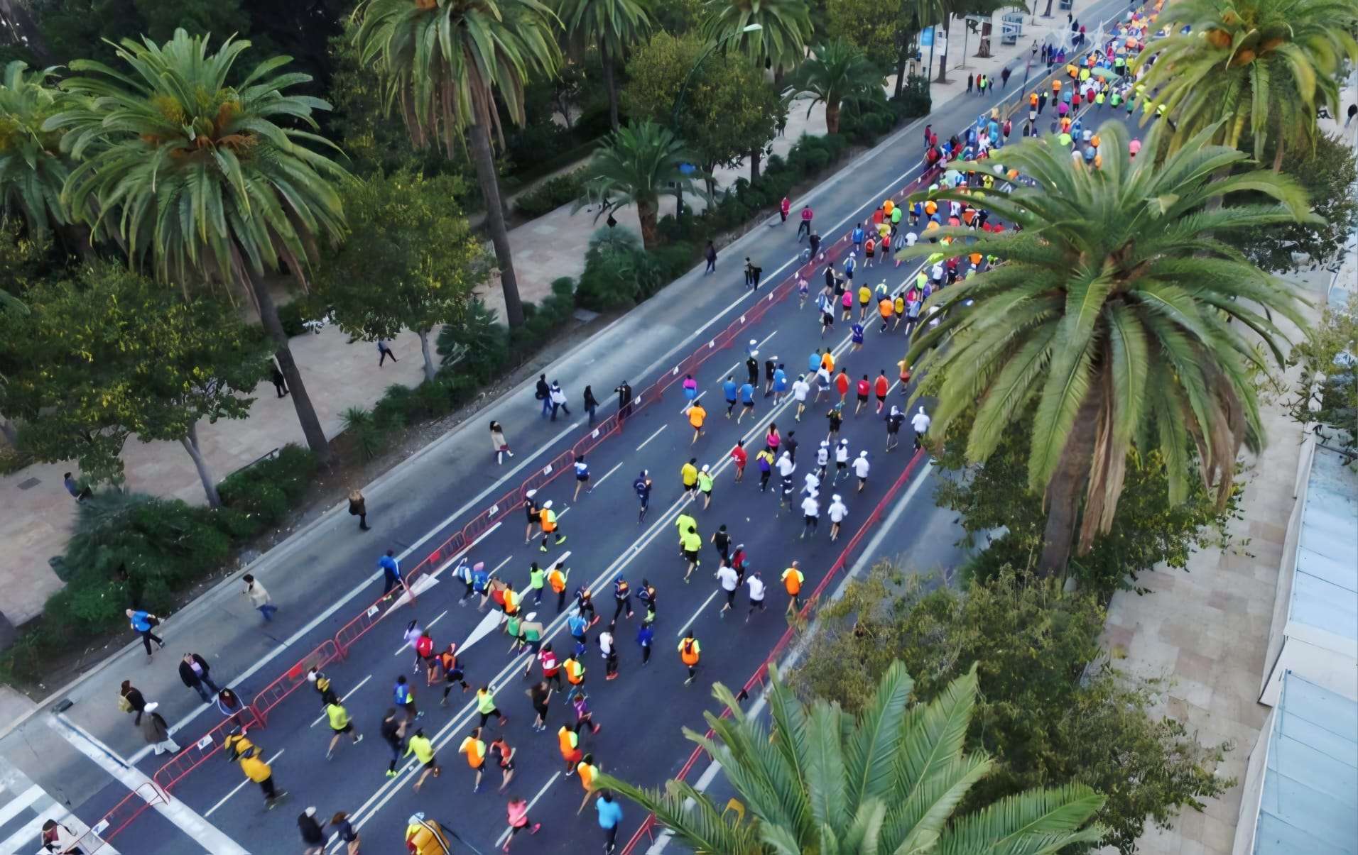 runners in el Paseo del Parque in the Malaga Marathon